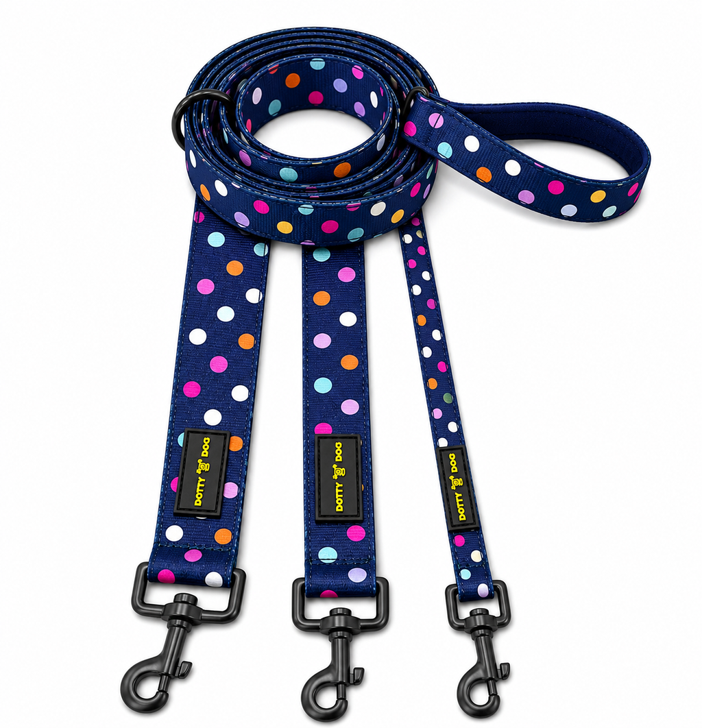 Dotty Dog Leash